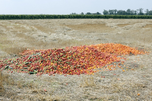 © Martin Kollar, 2016. Courtesy: MACK