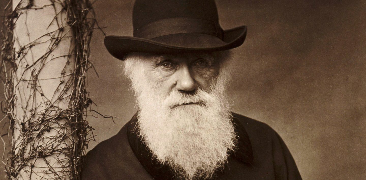 Se Darwin diventa un bersaglio - Il Tascabile