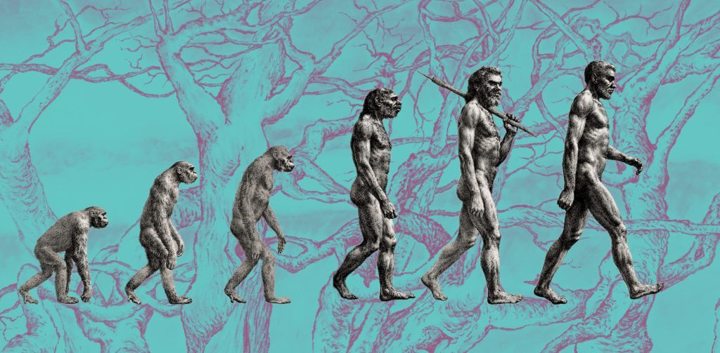 Linguistica generale: un'introduzione., image size:1024x503