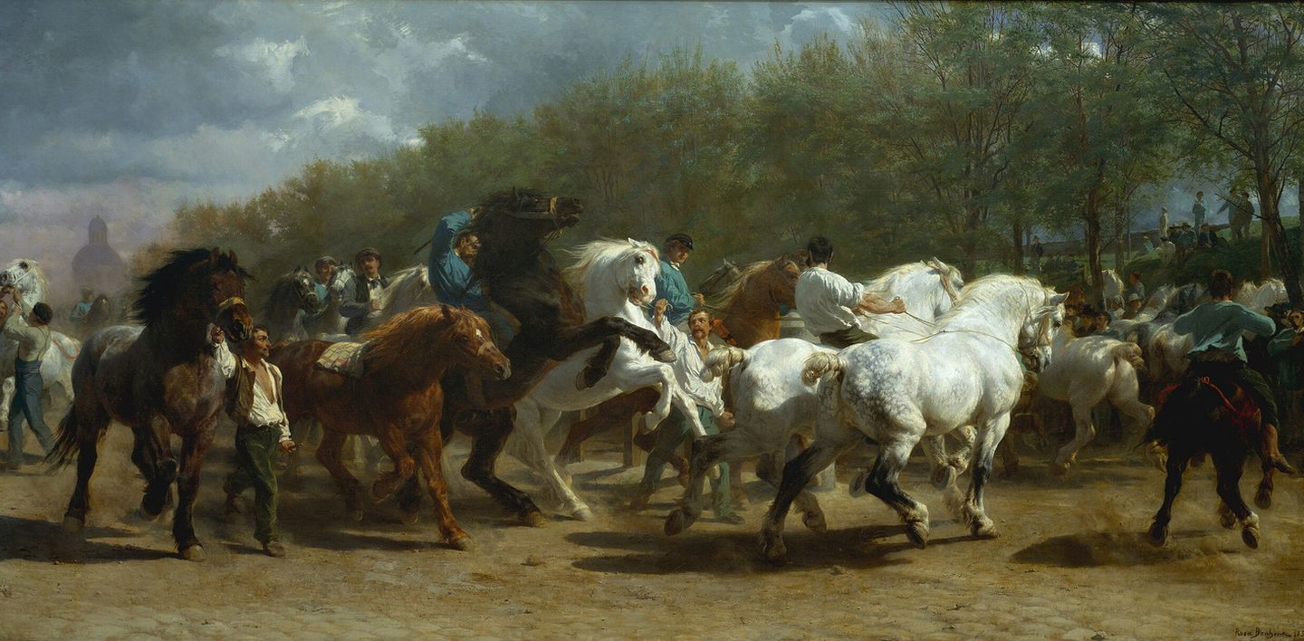 cavallo