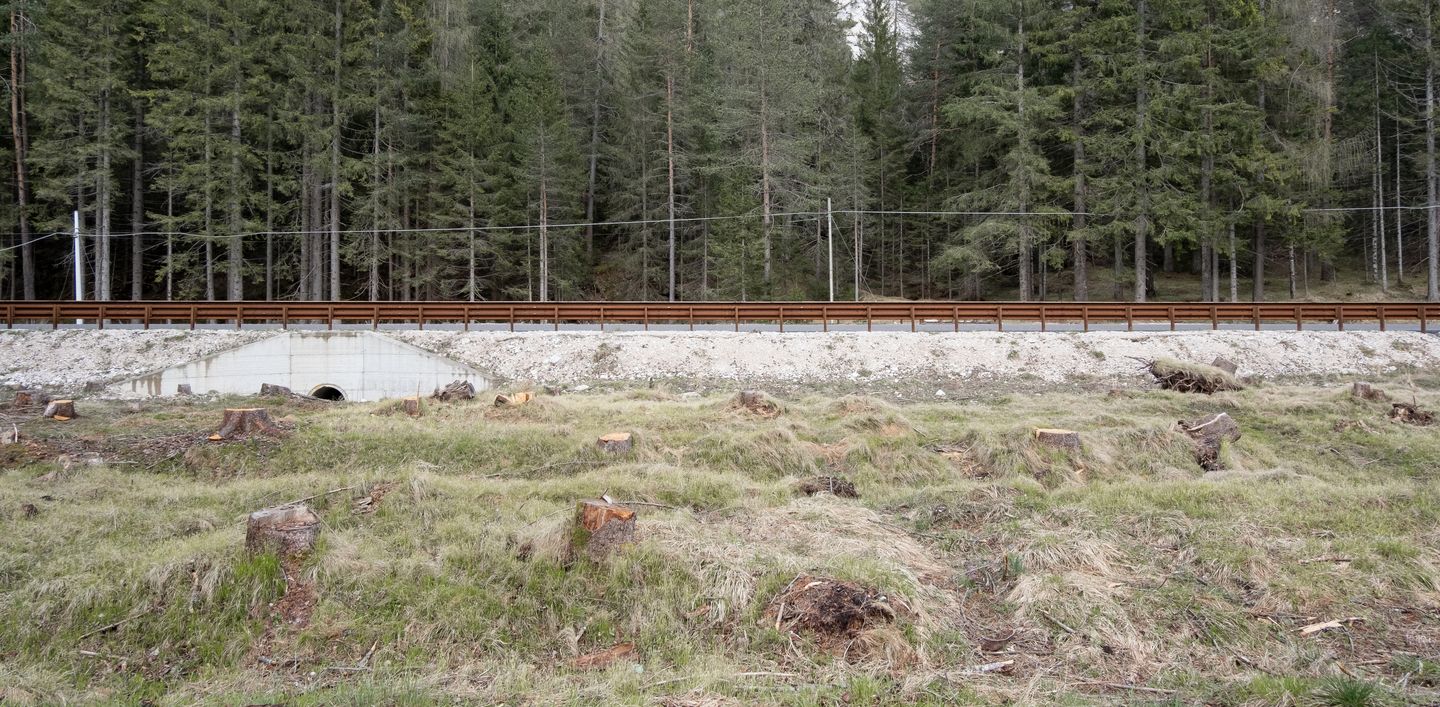 Protesta contro le Olimpiadi Milano-Cortina 2026